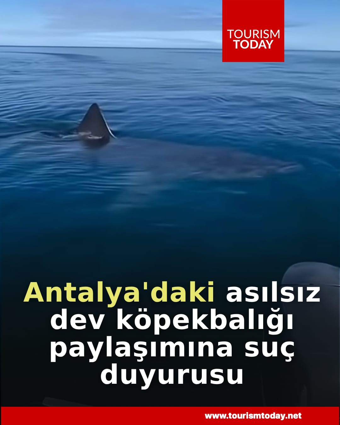 Antalya'daki asılsız dev köpekbalığı paylaşımına suç duyurusu