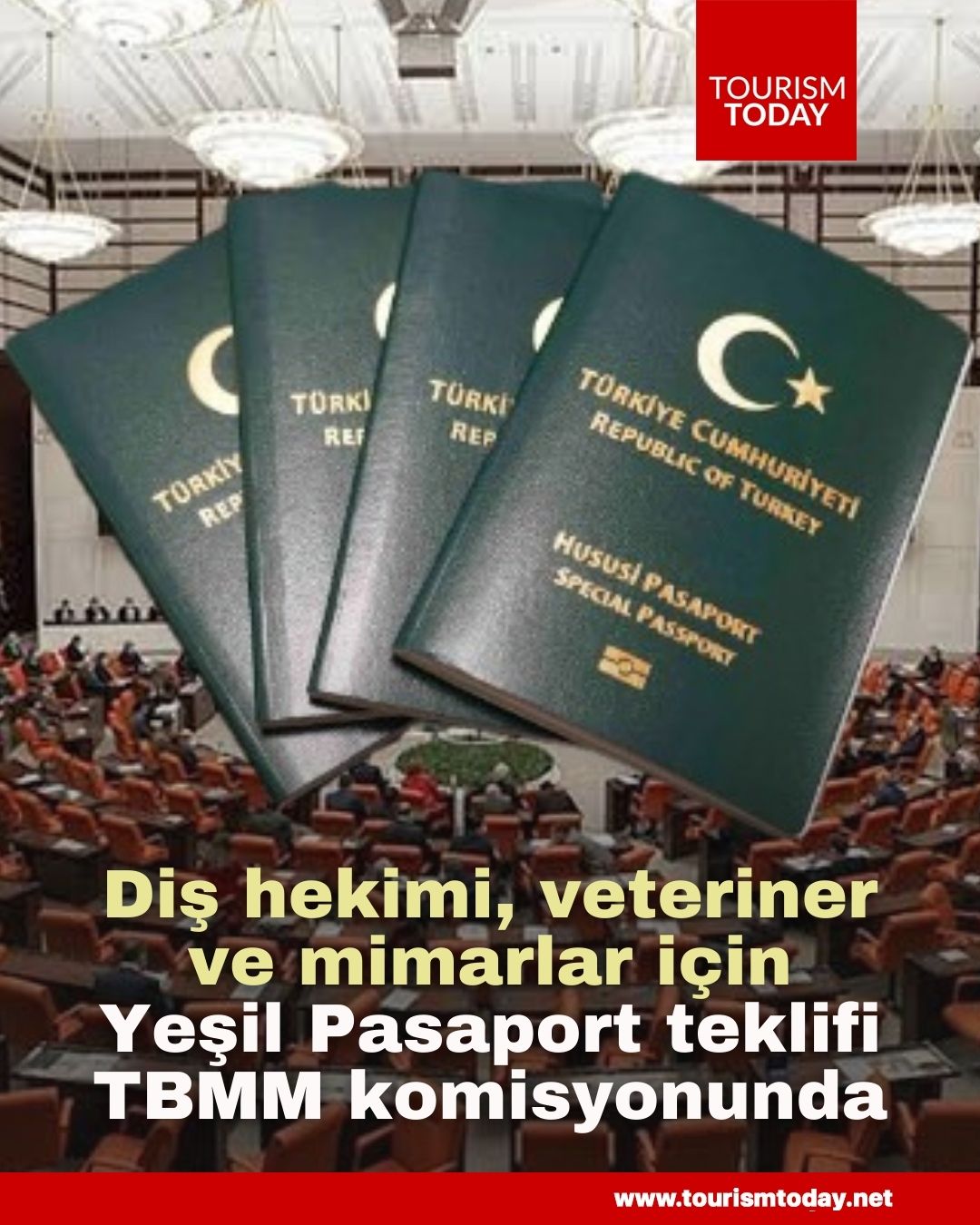 Diş hekimleri, veterinerler ve mimarlar için Yeşil Pasaport teklifi TBMM komisyonunda