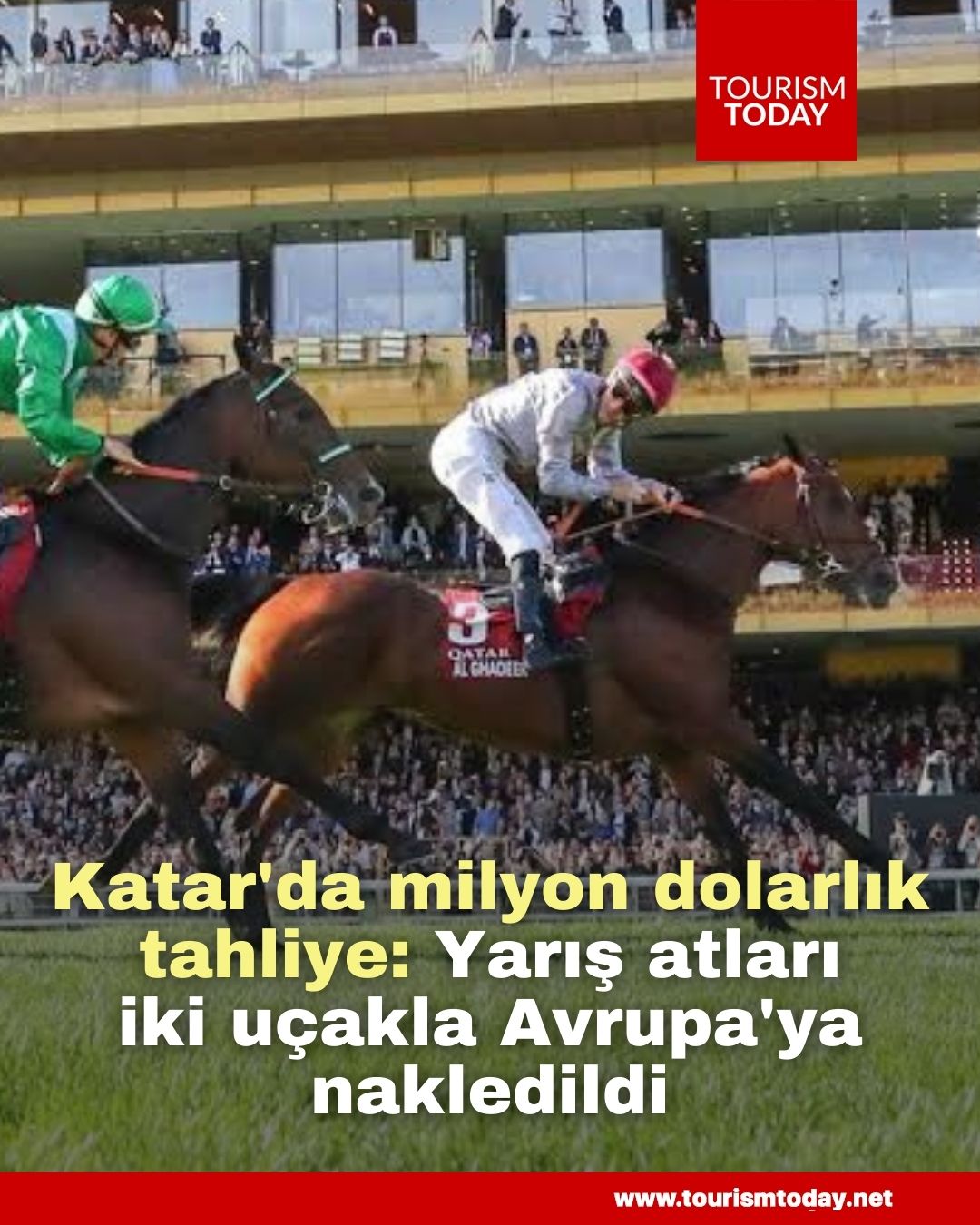 Katar'da milyon dolarlık tahliye: Yarış atları iki uçakla Avrupa'ya nakledildi