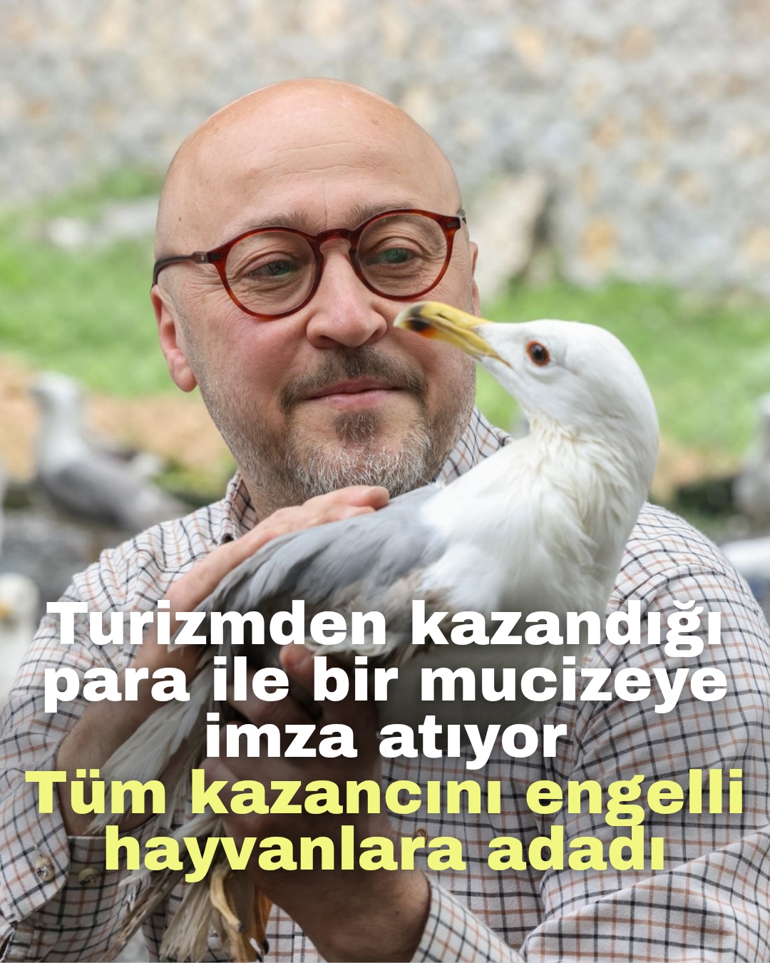 Turizmden kazandığı para ile bir mucizeye imza atıyor: Tüm kazancını engelli hayvanlara adadı