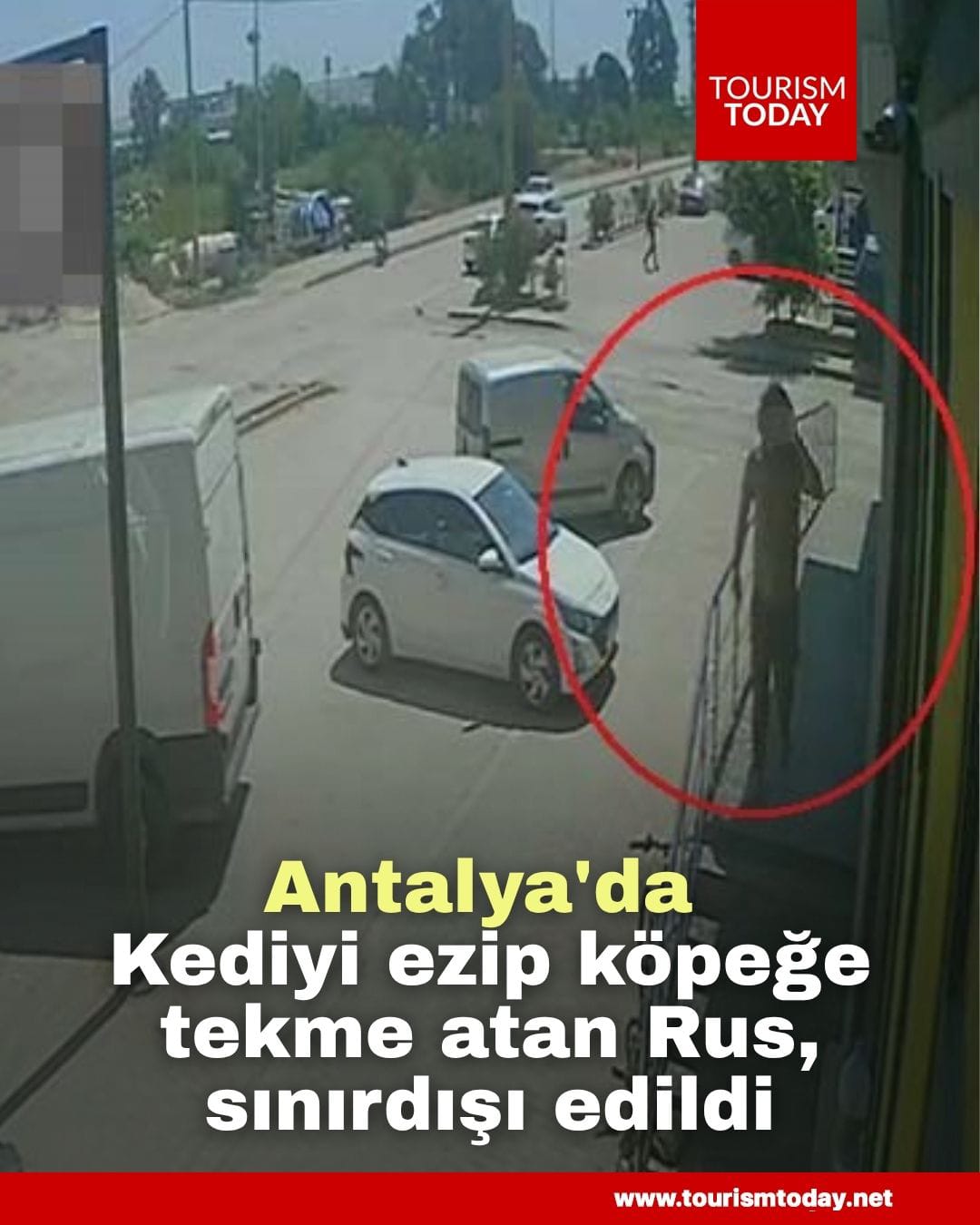 Antalya'da kediyi ezip köpeğe tekme atan Rus, sınırdışı edildi