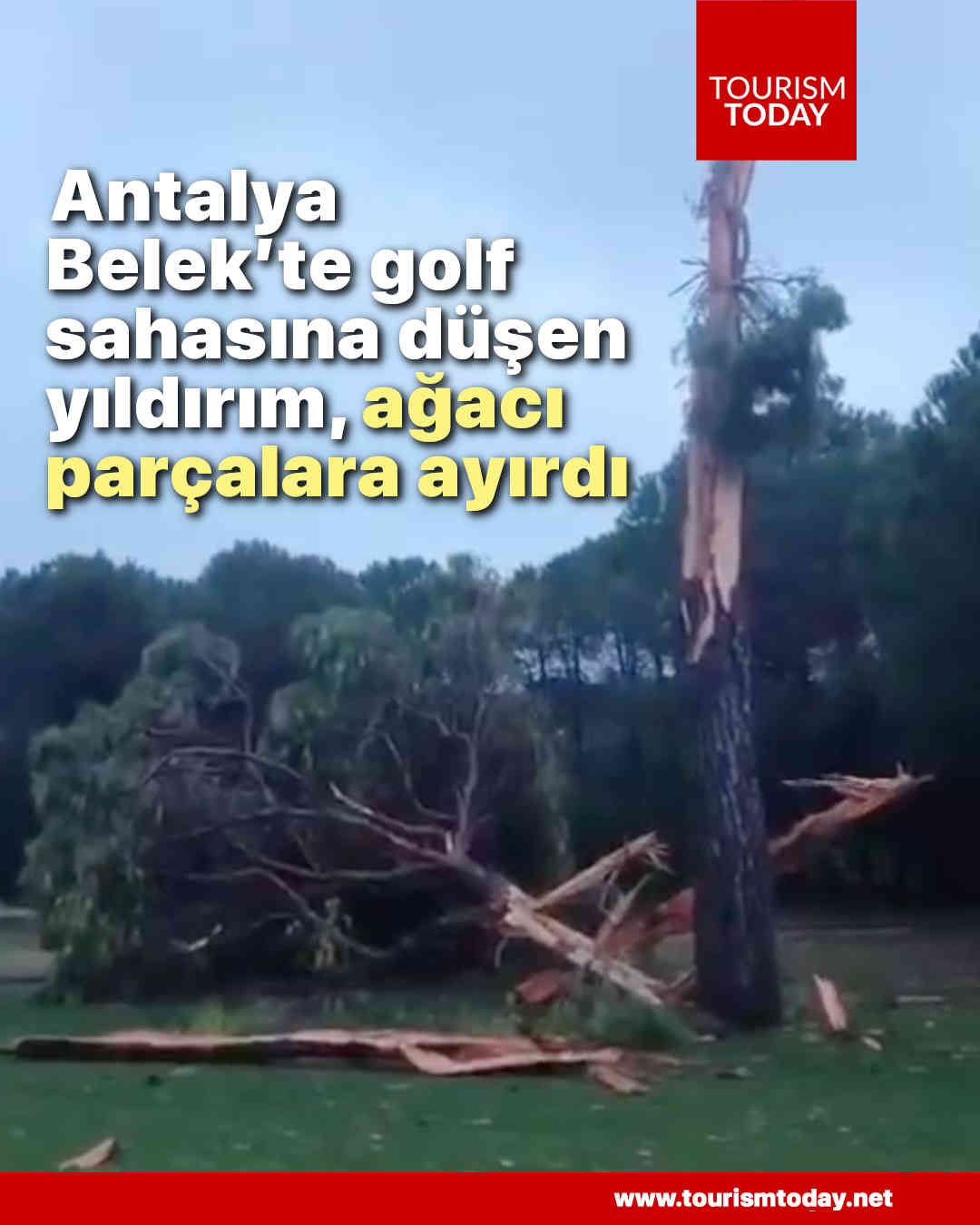 Antalya Belek’te golf sahasına düşen yıldırım, ağacı parçalara ayırdı 