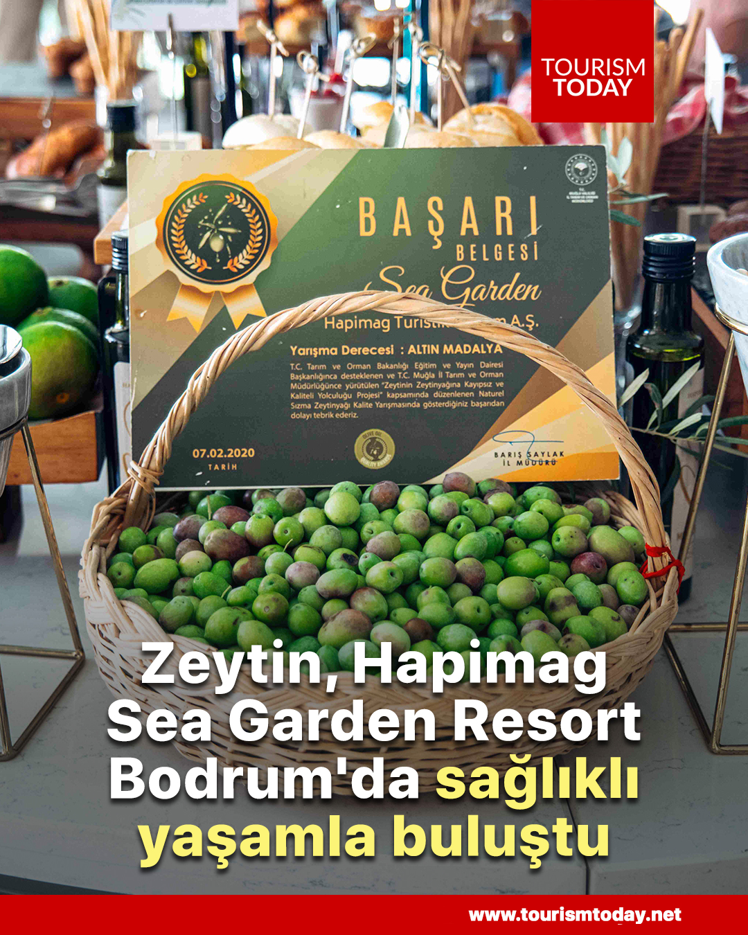Zeytin, Hapimag Sea Garden Resort Bodrum'da sağlıklı yaşamla buluştu
