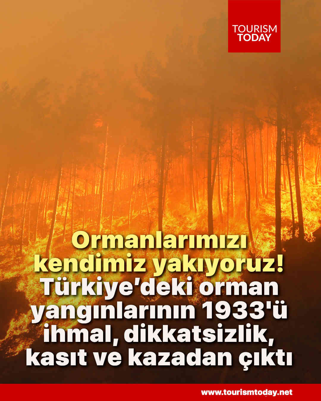 Türkiye’deki orman yangınlarının 1933'ü ihmal, dikkatsizlik, kasıt ve kazadan çıktı