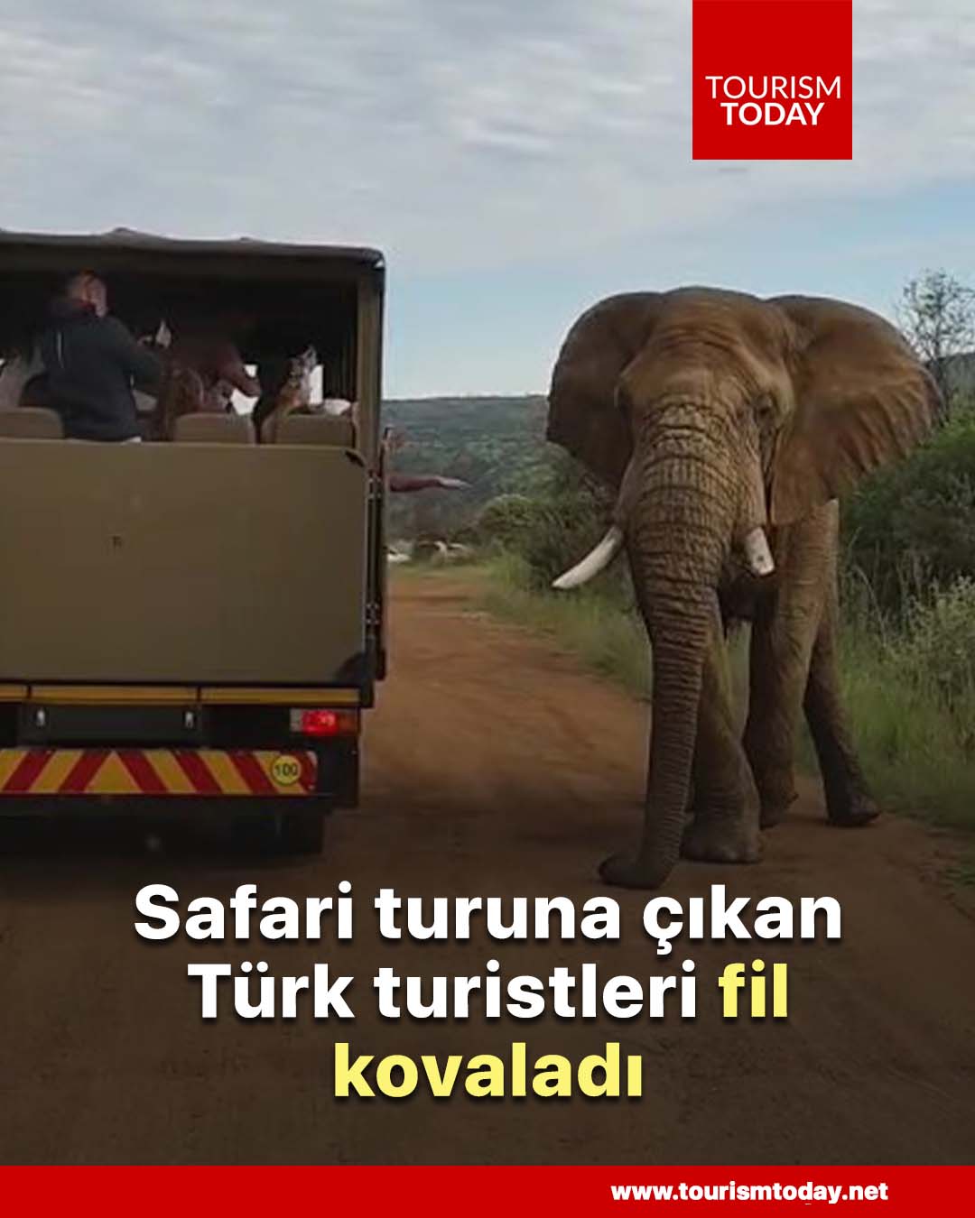 Safari turuna çıkan Türk turistleri fil kovaladı